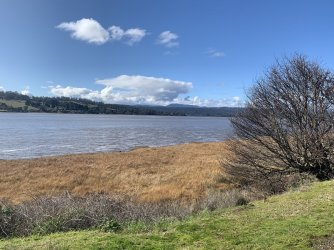 584A1233-6D96-4E98-9B90-9F4369DBEC4C.jpeg 584A1233-6D96-4E98-9B90-9F4369DBEC4C.jpeg