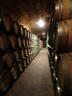 1659869044585.jpeg 1659869044585.jpeg