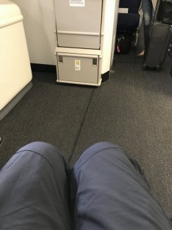 IMG_0389.jpeg IMG_0389.jpeg