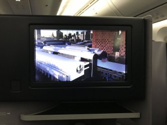 IMG_3407.jpeg IMG_3407.jpeg