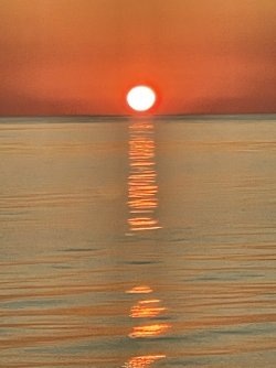 IMG_5477.JPG IMG_5477.JPG