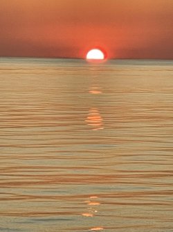 IMG_5481.JPG IMG_5481.JPG