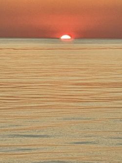 IMG_5483.JPG IMG_5483.JPG