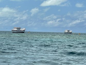 IMG_5566.JPG IMG_5566.JPG