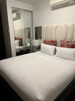 A0E5090E-DFB7-4F0C-B1DE-FD08C5B97853.jpeg A0E5090E-DFB7-4F0C-B1DE-FD08C5B97853.jpeg