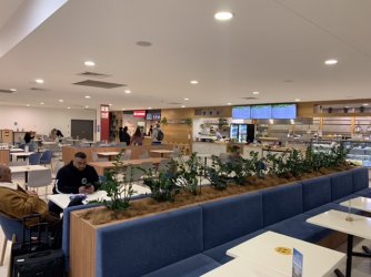 1FA5AF5A-CCF4-425B-B83C-49BB00479E55.jpeg 1FA5AF5A-CCF4-425B-B83C-49BB00479E55.jpeg