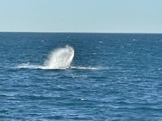 IMG_6566.JPG IMG_6566.JPG