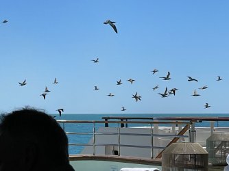 IMG_6595.JPG IMG_6595.JPG