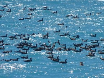 DSC06802.JPG DSC06802.JPG