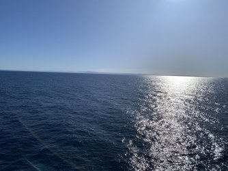 320A21D0-D020-40F7-ADE1-5C8009DEDCB1.jpeg 320A21D0-D020-40F7-ADE1-5C8009DEDCB1.jpeg