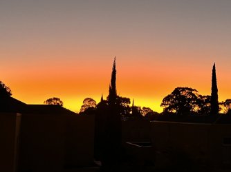 4AEFDF14-47D3-485D-9640-3A00B8258BAE.jpeg 4AEFDF14-47D3-485D-9640-3A00B8258BAE.jpeg