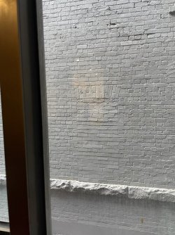 A30CDA6C-D52E-4086-AE94-BD3B4C6C3598.jpeg A30CDA6C-D52E-4086-AE94-BD3B4C6C3598.jpeg