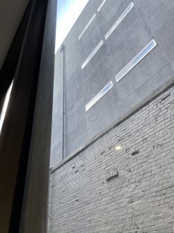 EBBAFDA1-1C96-4106-9821-01C0823F9858.jpeg EBBAFDA1-1C96-4106-9821-01C0823F9858.jpeg