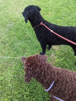 PXL_20220822_181013393.jpg PXL_20220822_181013393.jpg