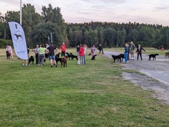 PXL_20220822_180616418.jpg PXL_20220822_180616418.jpg