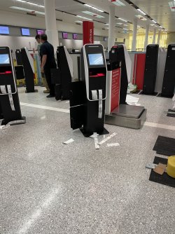 31353FF9-2A7E-43E7-B526-0EF053F84E21.jpeg 31353FF9-2A7E-43E7-B526-0EF053F84E21.jpeg