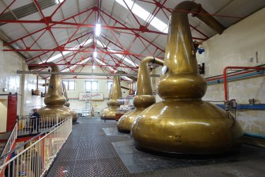 DSC01784.JPG DSC01784.JPG