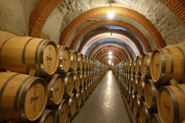 DSC07505.JPG DSC07505.JPG