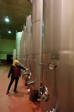 DSC07513.JPG DSC07513.JPG