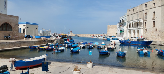 1662645634100.png 1662645634100.png