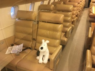 9DAD4B85-B081-4B5C-8349-2960DFC52706.jpeg 9DAD4B85-B081-4B5C-8349-2960DFC52706.jpeg