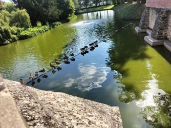 Burg8.jpg Burg8.jpg