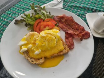 20220919_100915.jpg 20220919_100915.jpg