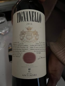 IMG_4793.jpeg IMG_4793.jpeg