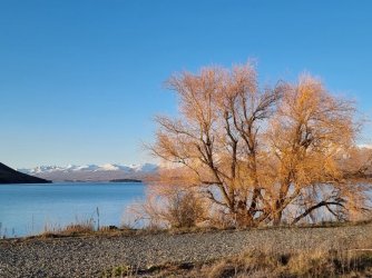 20220916_174637.jpg 20220916_174637.jpg