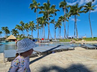 20220907_092106.jpg 20220907_092106.jpg