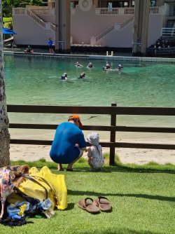 20220907_104417.jpg 20220907_104417.jpg