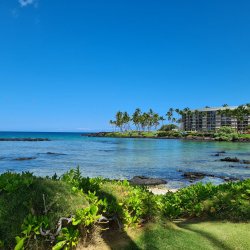 IMG_20220907_105408_159.jpg IMG_20220907_105408_159.jpg