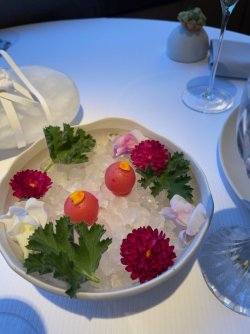 46C7A004-B32E-4408-BD5C-125CD8E0A0A0.jpeg 46C7A004-B32E-4408-BD5C-125CD8E0A0A0.jpeg