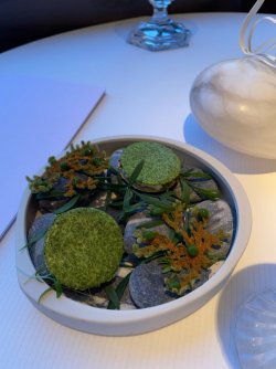 CAA76D41-4465-478F-A89D-925054F29B97.jpeg CAA76D41-4465-478F-A89D-925054F29B97.jpeg