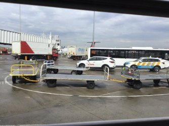 219FC538-FA2E-4E96-BABE-58F09A4B31F8.jpeg 219FC538-FA2E-4E96-BABE-58F09A4B31F8.jpeg