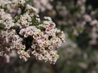 IMG_0164.JPG IMG_0164.JPG