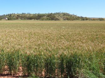 IMG_0183.JPG IMG_0183.JPG