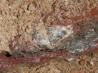 IMG_0204.JPG IMG_0204.JPG