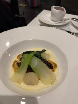 69936D2D-AA2C-41CD-83A9-8ADA1020F2D2.jpeg 69936D2D-AA2C-41CD-83A9-8ADA1020F2D2.jpeg