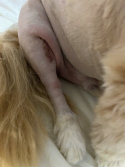 IMG_0287.jpg IMG_0287.jpg