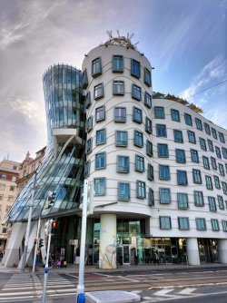 gehry2.jpg gehry2.jpg