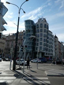 gehry4.JPG gehry4.JPG