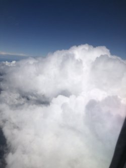 DF5ADB3F-BB17-4965-A729-175408F95883.jpeg DF5ADB3F-BB17-4965-A729-175408F95883.jpeg