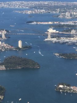 92908C69-CDF8-420F-A824-BF054E36FE1E.jpeg 92908C69-CDF8-420F-A824-BF054E36FE1E.jpeg