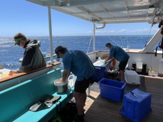 3A509DB2-90A8-4D98-8062-CF6BB64C21E3.jpeg 3A509DB2-90A8-4D98-8062-CF6BB64C21E3.jpeg