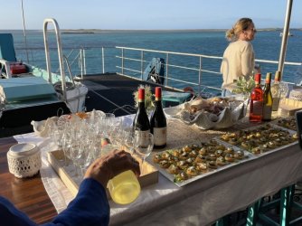 08E2520E-22CC-496B-B20B-46E52504A802.jpeg 08E2520E-22CC-496B-B20B-46E52504A802.jpeg