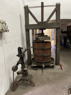 IMG_7228.JPEG IMG_7228.JPEG