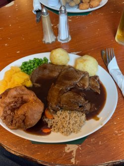 21C0412A-8AE9-4896-AD65-2E3CBB9583C2.jpeg 21C0412A-8AE9-4896-AD65-2E3CBB9583C2.jpeg