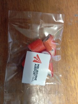 IMG_20221007_170413_728.jpg IMG_20221007_170413_728.jpg