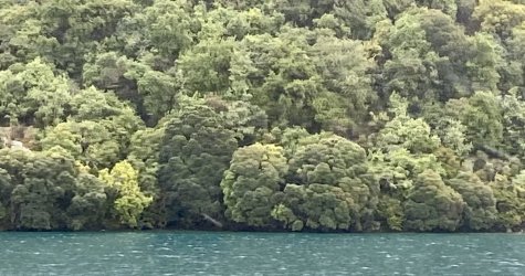 80DCECD2-FF72-42D8-B3FC-9B9FEC54A0B9.jpeg 80DCECD2-FF72-42D8-B3FC-9B9FEC54A0B9.jpeg